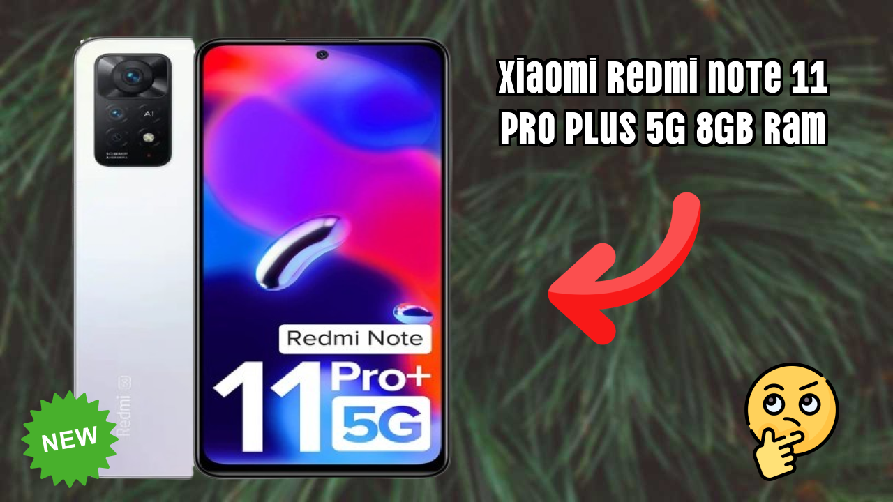 Xiaomi Redmi Note 11 Pro Plus 5G 8GB RAM Display Quality: AMOLED Explained